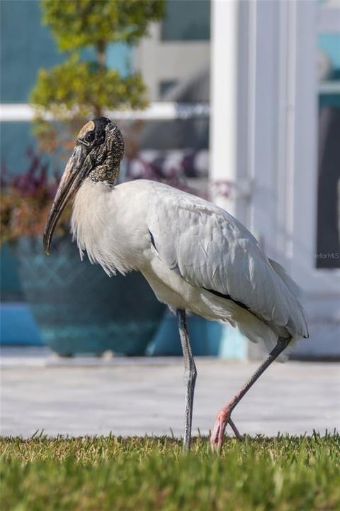 待售: $559,000 (3 贝兹, 2 浴室, 1482 平方英尺)