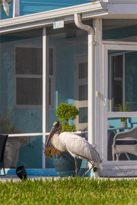 待售: $559,000 (3 贝兹, 2 浴室, 1482 平方英尺)