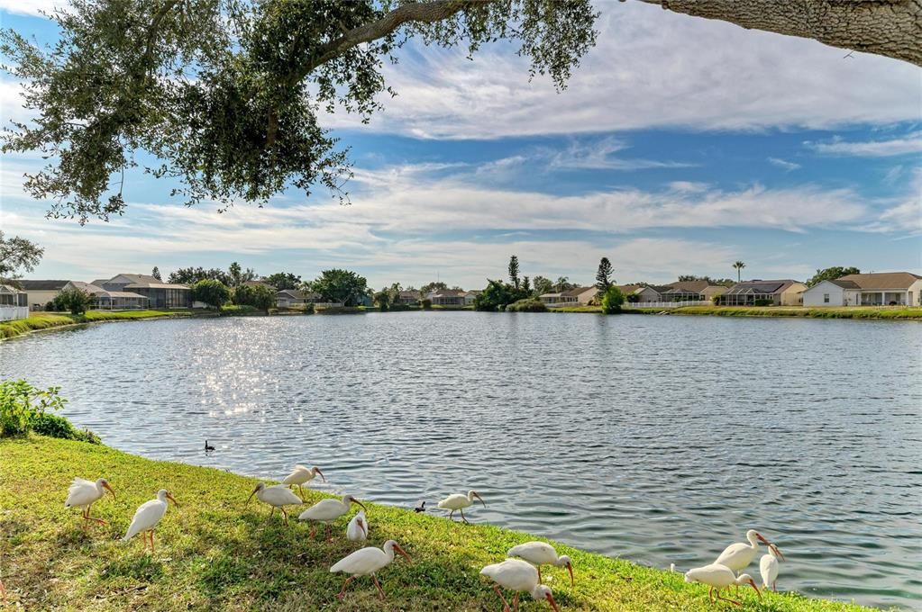 En Venta: $359,000 (3 camas, 2 baños, 1337 Pies cuadrados)