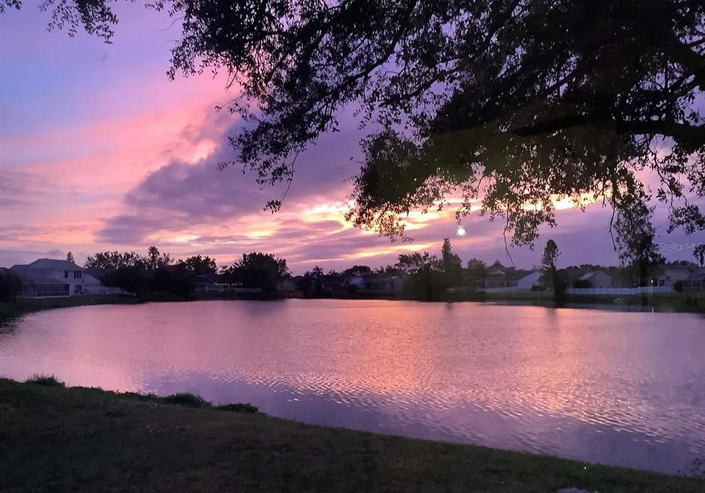 En Venta: $359,000 (3 camas, 2 baños, 1337 Pies cuadrados)