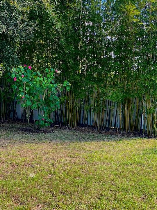 En Venta: $569,000 (4 camas, 2 baños, 2416 Pies cuadrados)