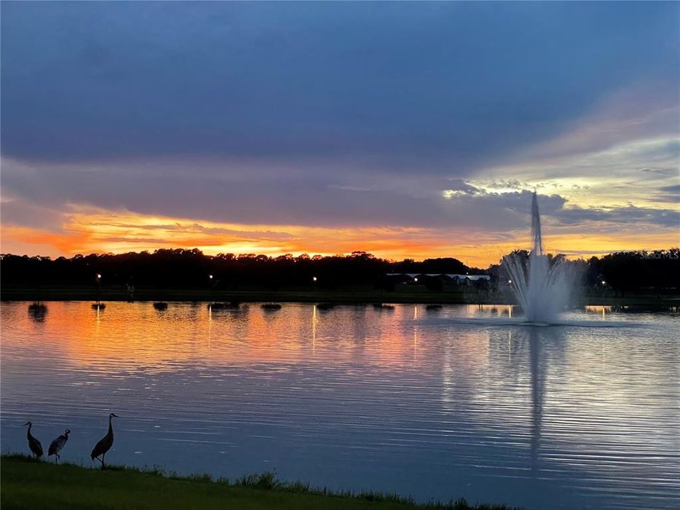 En Venta: $569,000 (4 camas, 2 baños, 2416 Pies cuadrados)