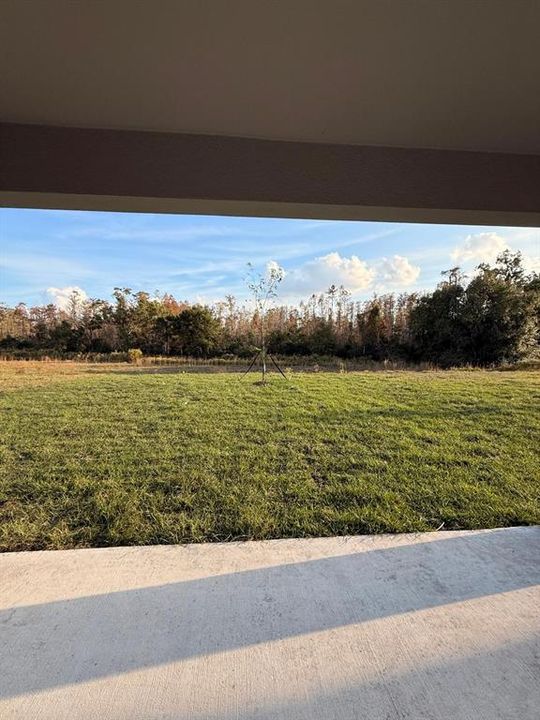 En Renta: $2,950 (5 camas, 2 baños, 2215 Pies cuadrados)