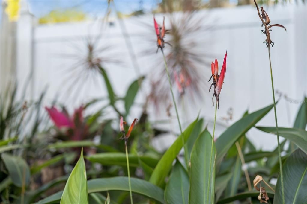 合同活跃: $315,000 (3 贝兹, 2 浴室, 1076 平方英尺)