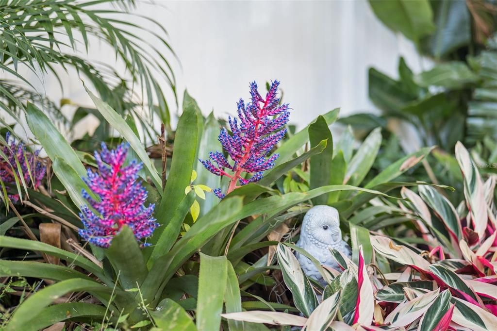 合同活跃: $315,000 (3 贝兹, 2 浴室, 1076 平方英尺)