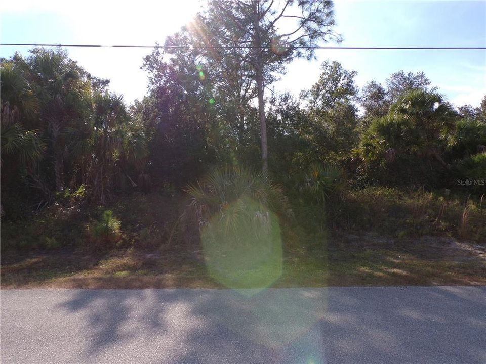 For Sale: $17,900 (0.23 acres)