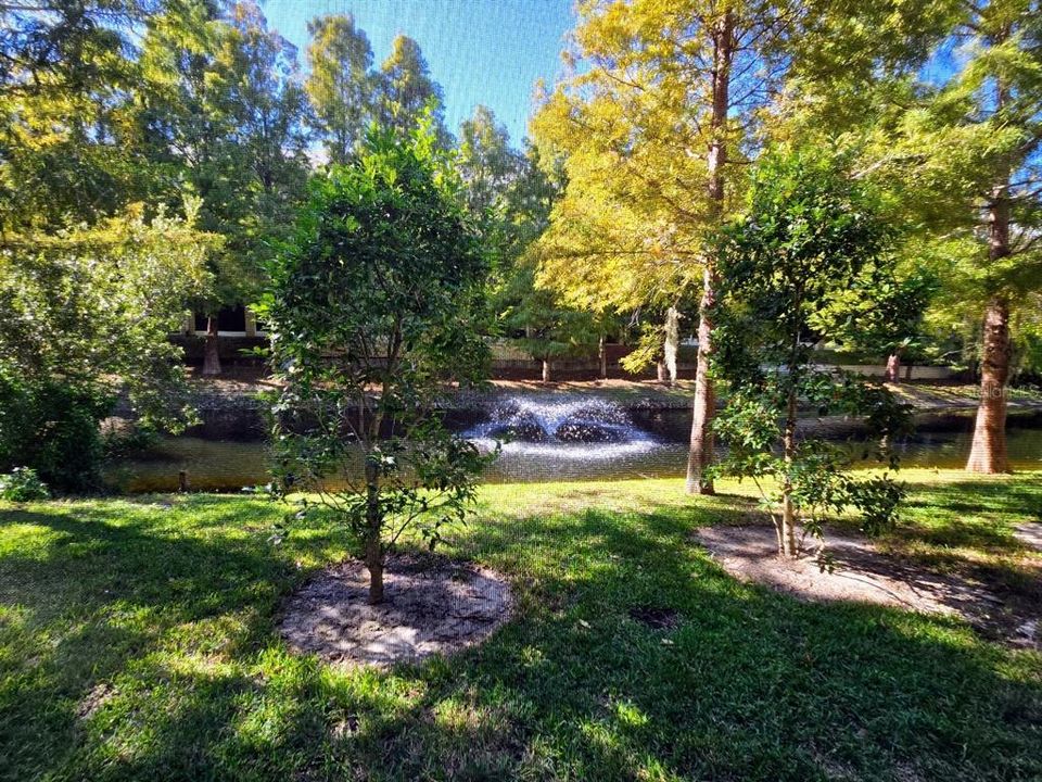 For Rent: $2,800 (3 beds, 2 baths, 1802 Square Feet)