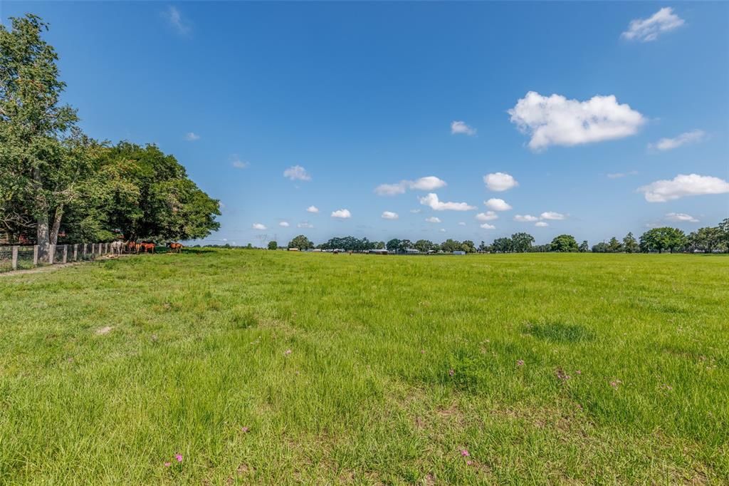 待售: $3,998,200 (9 贝兹, 6 浴室, 4074 平方英尺)