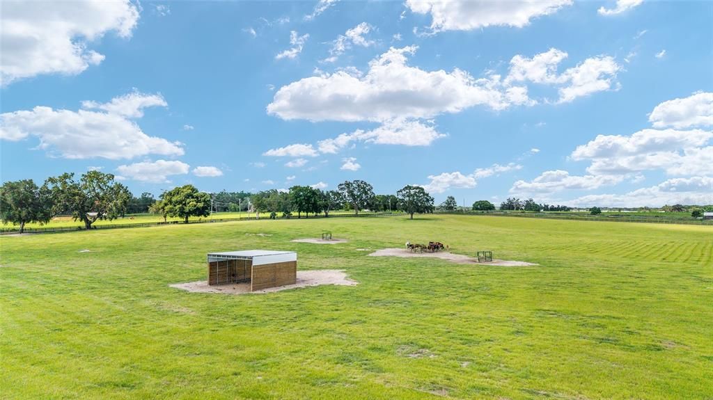 待售: $3,998,200 (9 贝兹, 6 浴室, 4074 平方英尺)