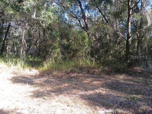 For Sale: $22,000 (0.14 acres)