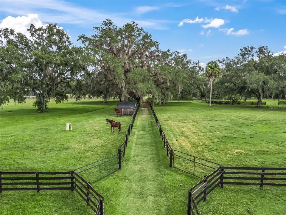 待售: $1,790,000 (3 贝兹, 3 浴室, 3800 平方英尺)