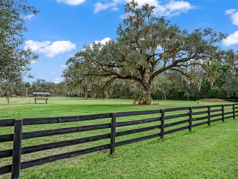 待售: $1,790,000 (3 贝兹, 3 浴室, 3800 平方英尺)