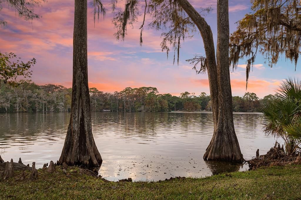 For Sale: $2,500,000 (4 beds, 3 baths, 3664 Square Feet)