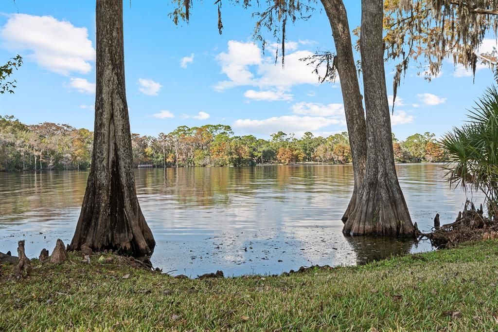 For Sale: $2,500,000 (4 beds, 3 baths, 3664 Square Feet)