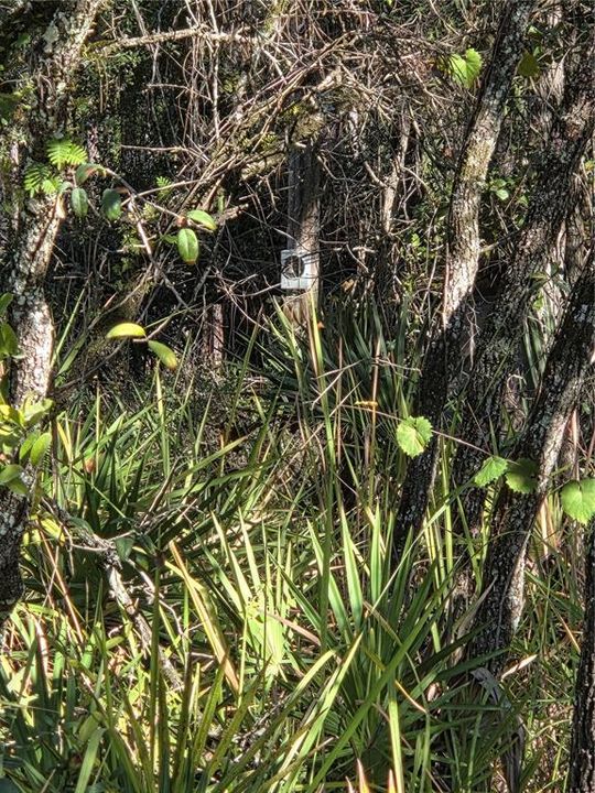 Под контрактом: $120,000 (7.24 acres)