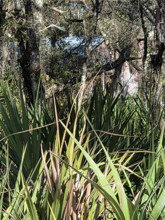 Под контрактом: $120,000 (7.24 acres)