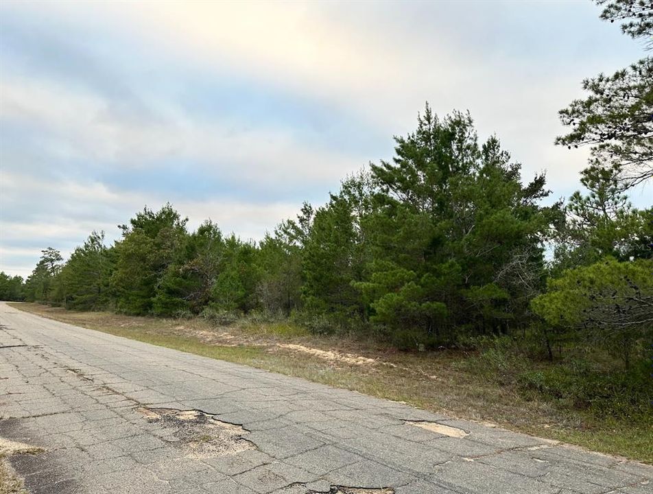 待售: $9,000 (0.23 acres)