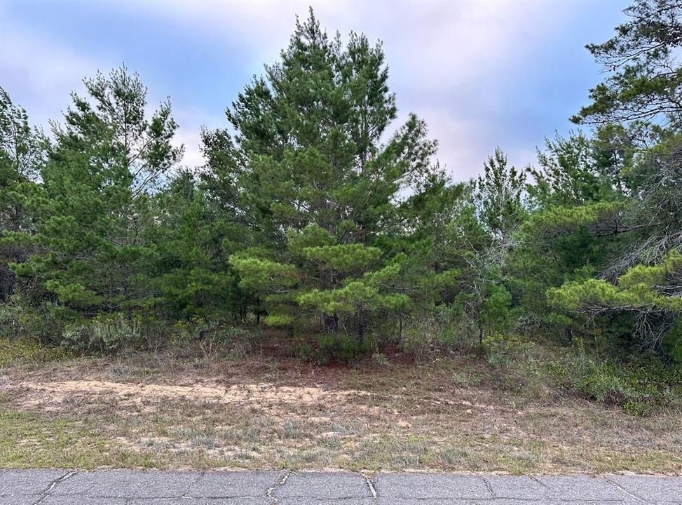 待售: $9,000 (0.23 acres)