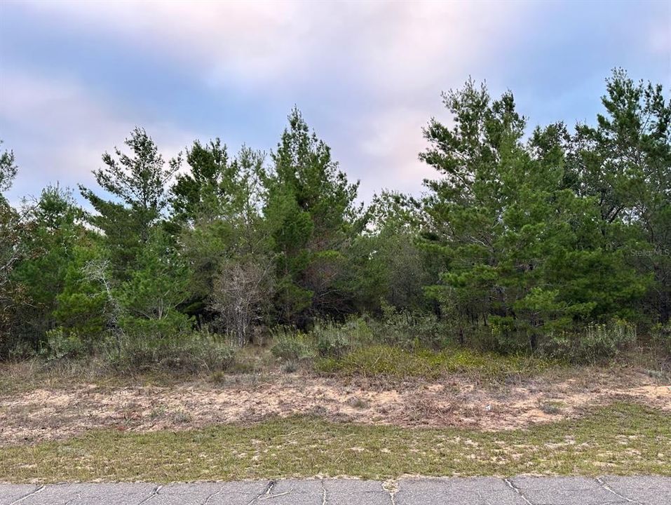 待售: $9,000 (0.23 acres)