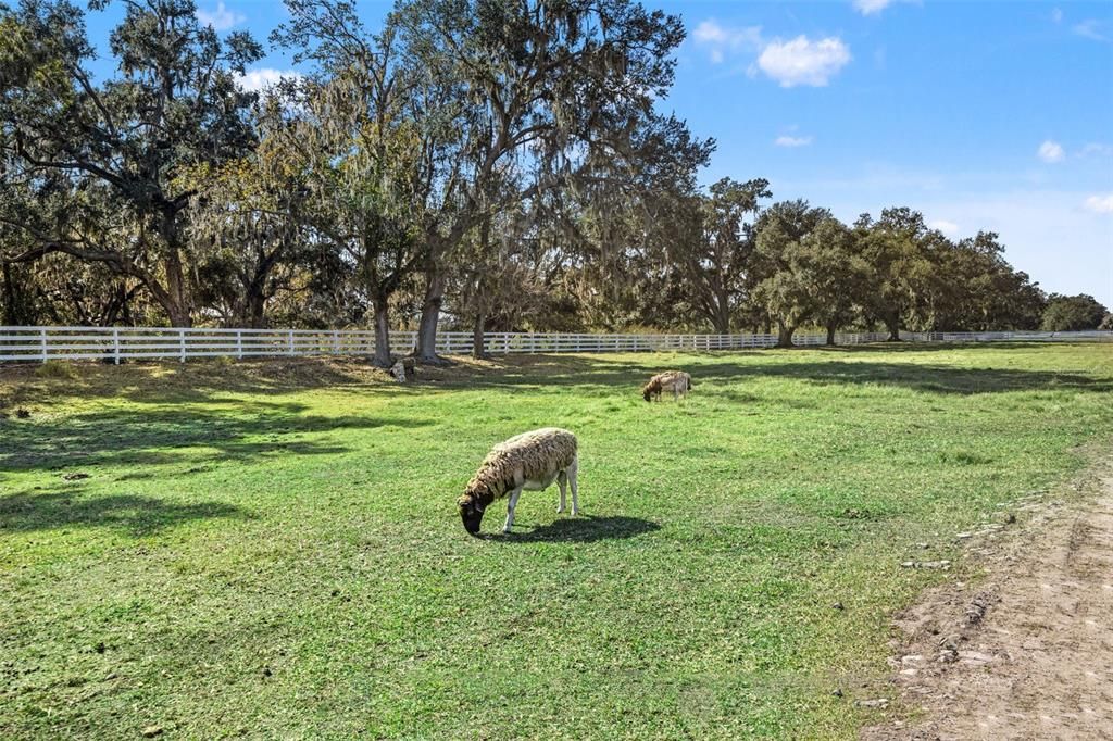 待售: $500,000 (9.50 acres)