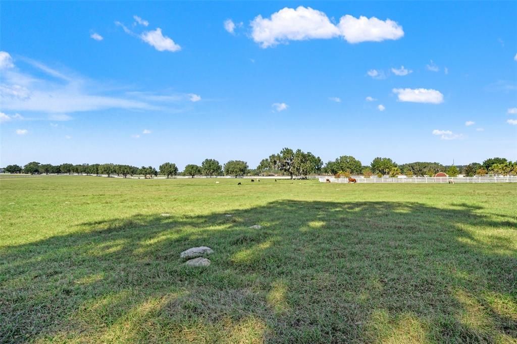 待售: $500,000 (9.50 acres)