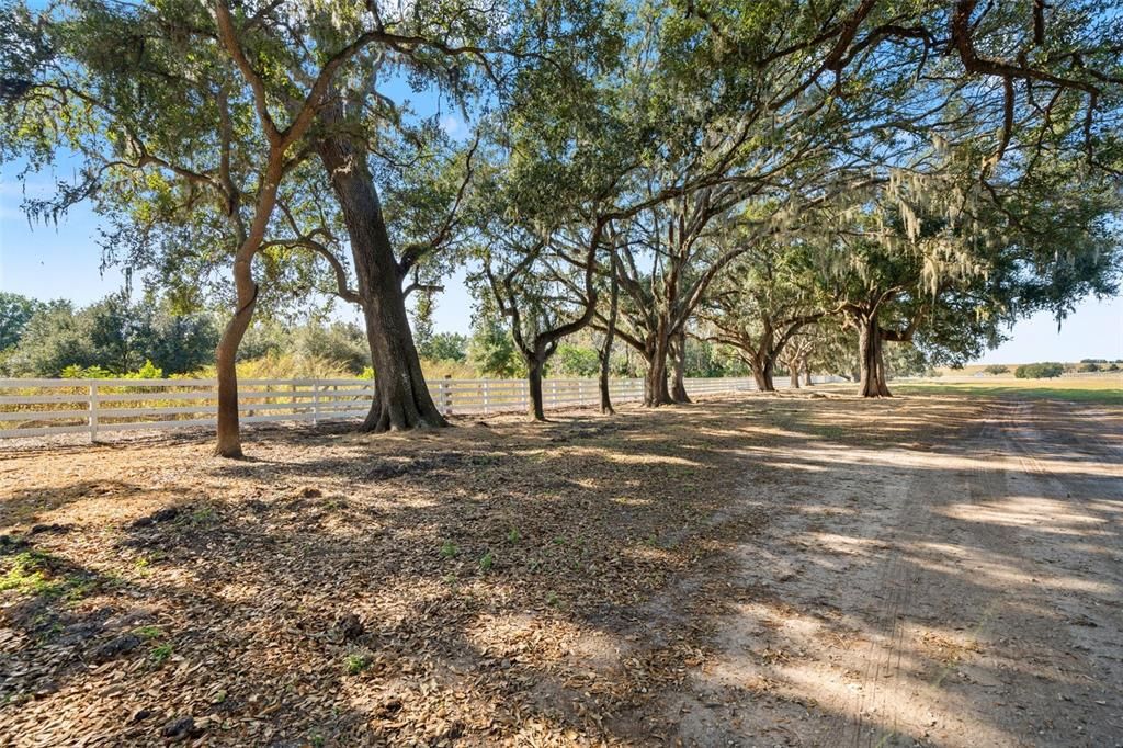 待售: $500,000 (9.50 acres)