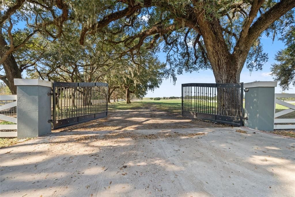 待售: $500,000 (9.50 acres)