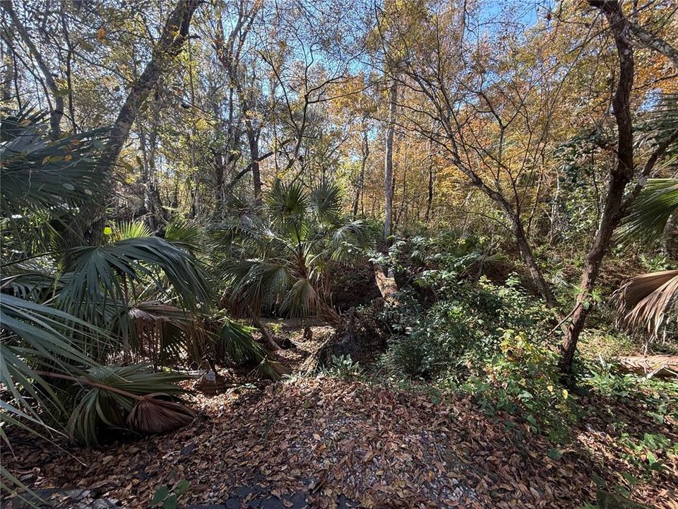 For Rent: $1,075 (1 beds, 1 baths, 493 Square Feet)