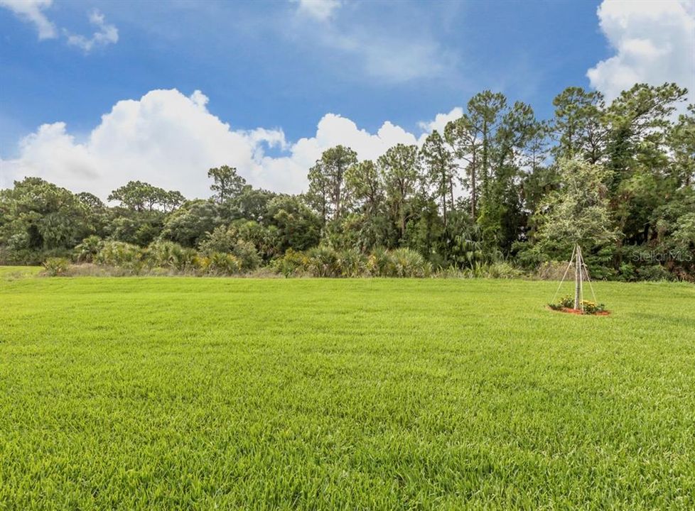 For Rent: $3,000 (4 beds, 2 baths, 2204 Square Feet)