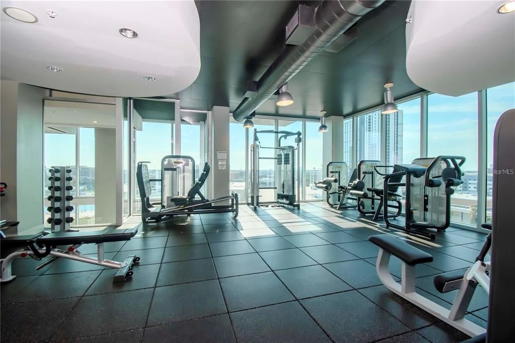 出租: $2,450 (1 贝兹, 1 浴室, 772 平方英尺)