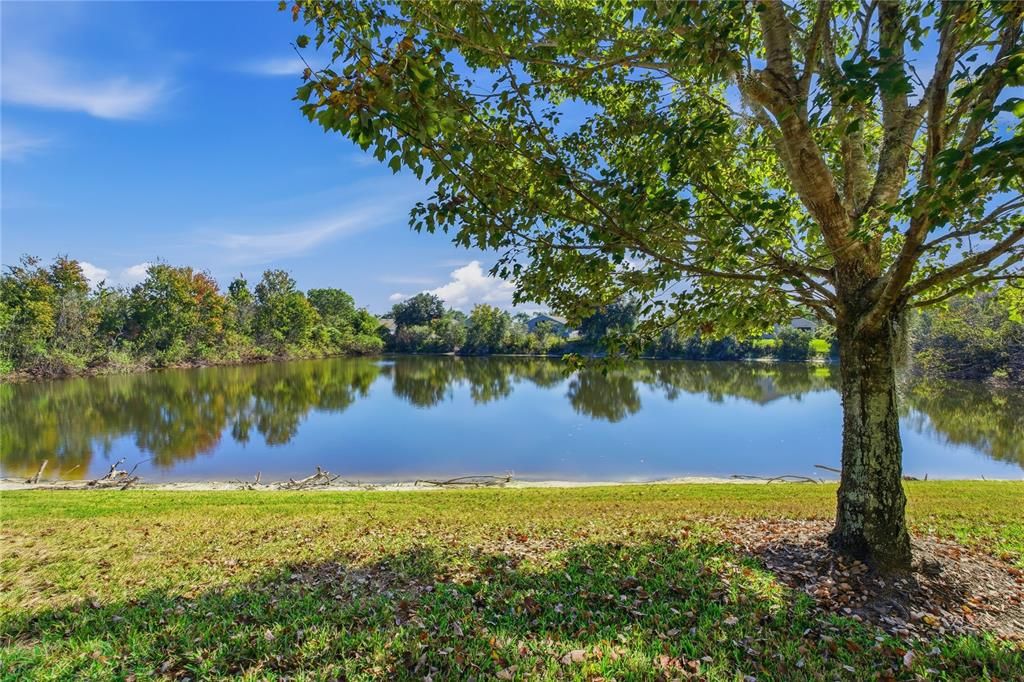 出租: $1,900 (3 贝兹, 2 浴室, 1649 平方英尺)