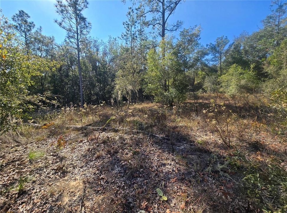 For Sale: $44,000 (0.34 acres)