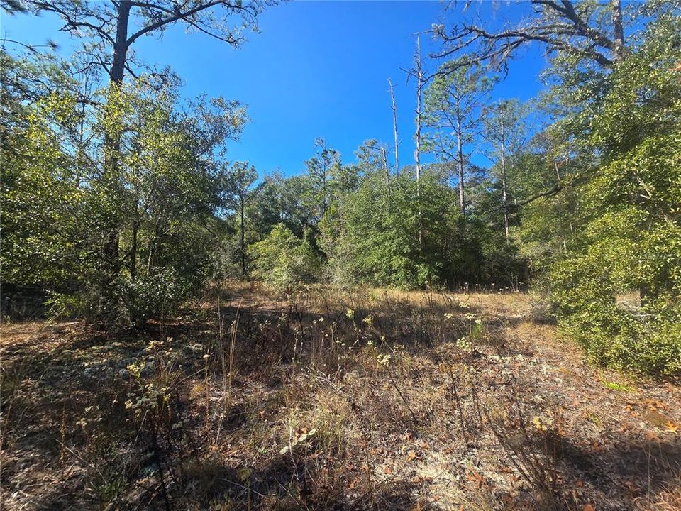 For Sale: $44,000 (0.34 acres)