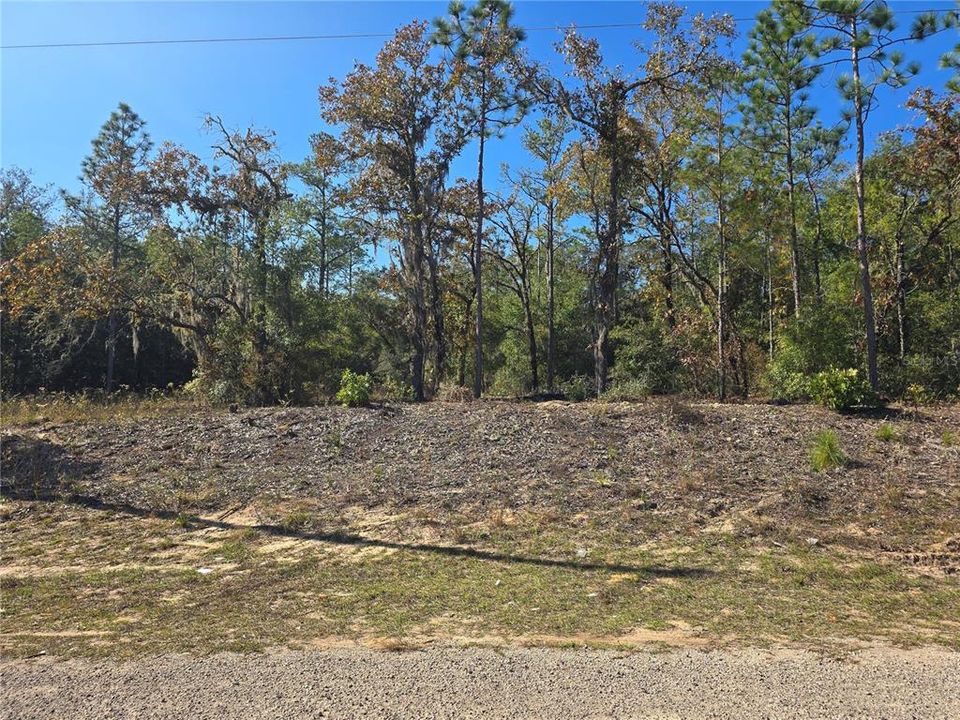 For Sale: $44,000 (0.34 acres)