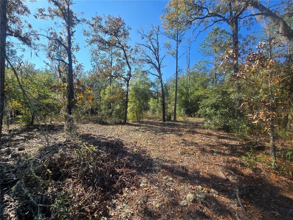 For Sale: $44,000 (0.34 acres)