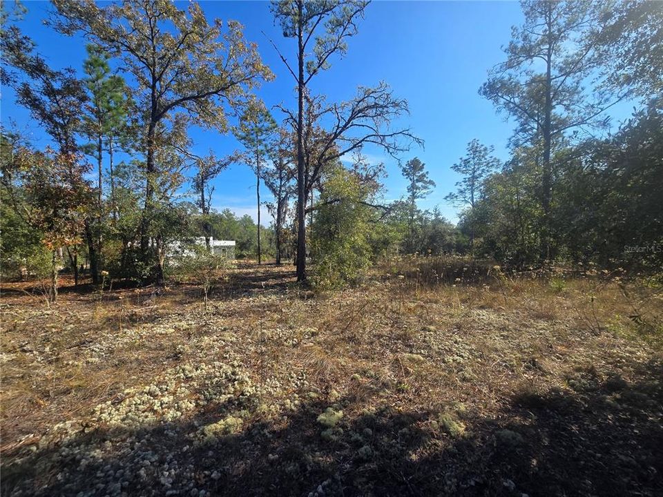 For Sale: $44,000 (0.34 acres)