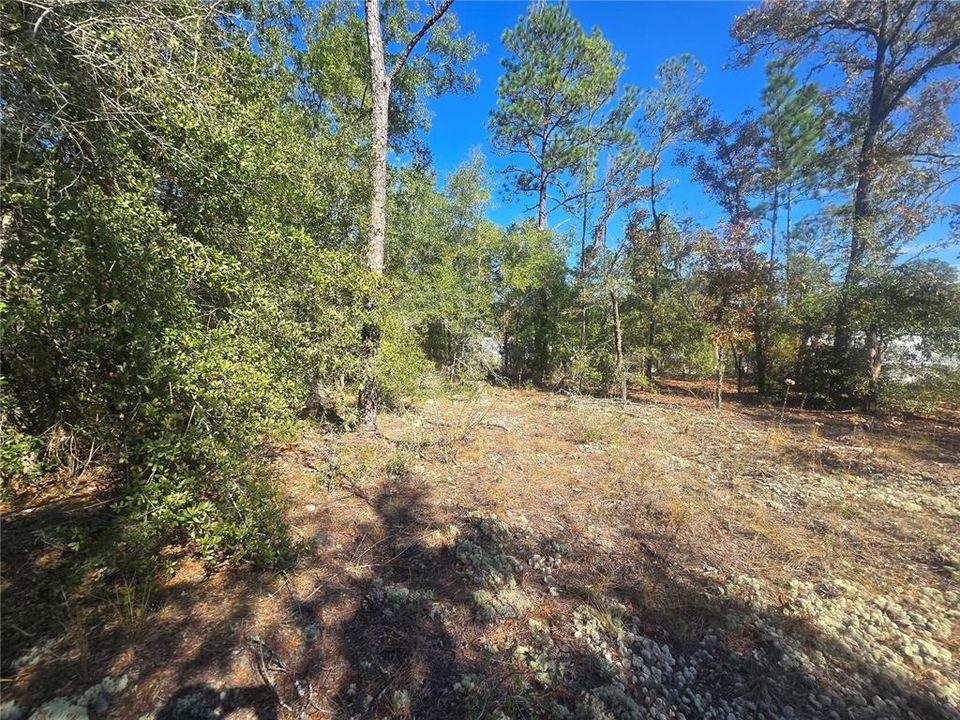 For Sale: $44,000 (0.34 acres)