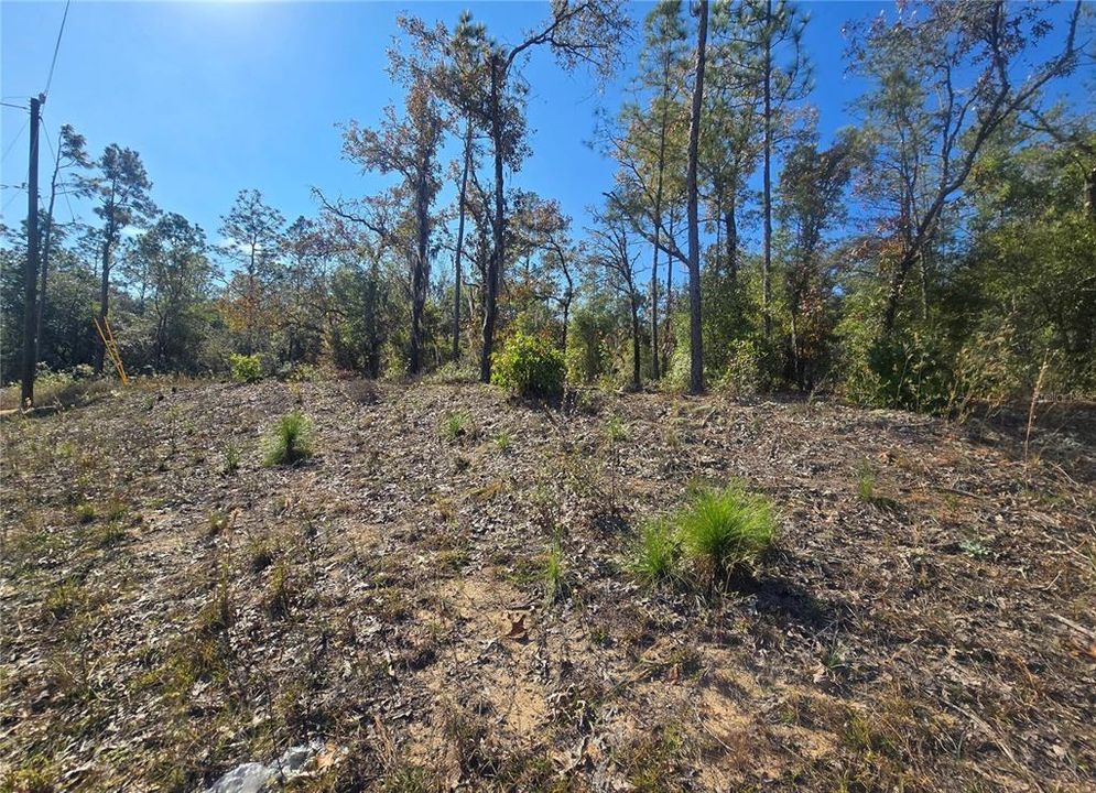 For Sale: $44,000 (0.34 acres)