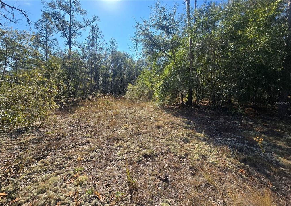 For Sale: $44,000 (0.34 acres)