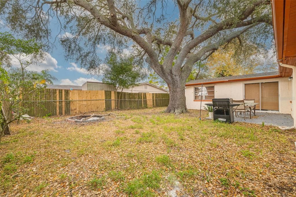 For Sale: $300,000 (3 beds, 2 baths, 1558 Square Feet)