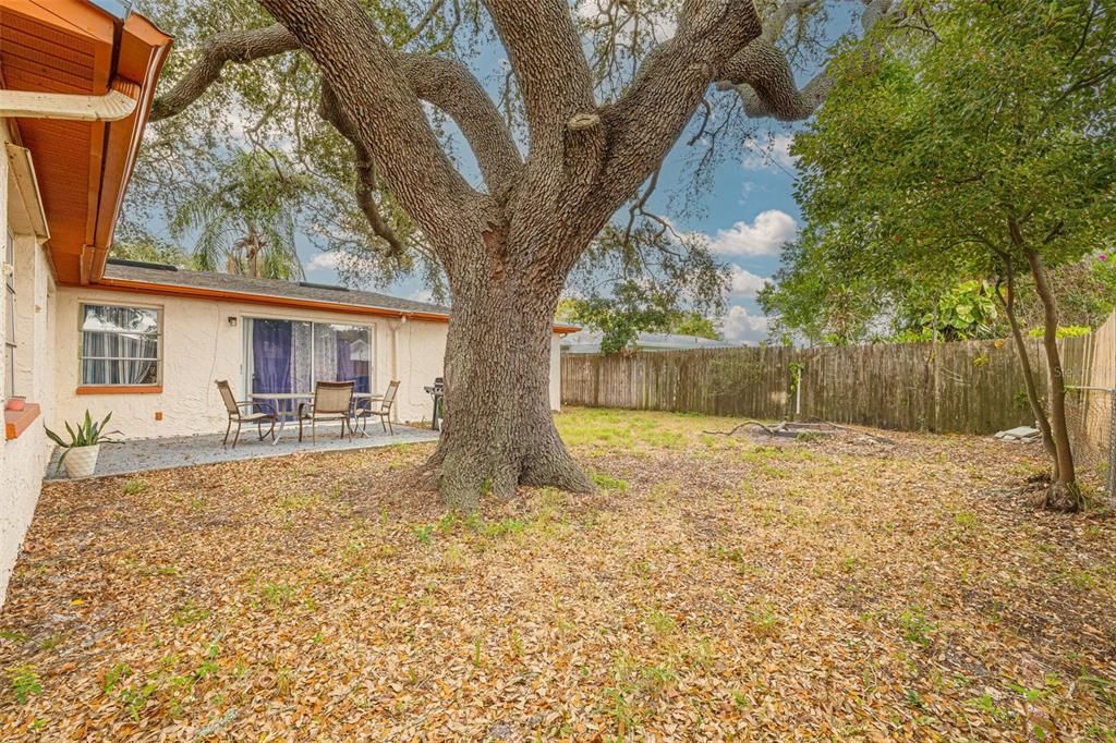 For Sale: $300,000 (3 beds, 2 baths, 1558 Square Feet)