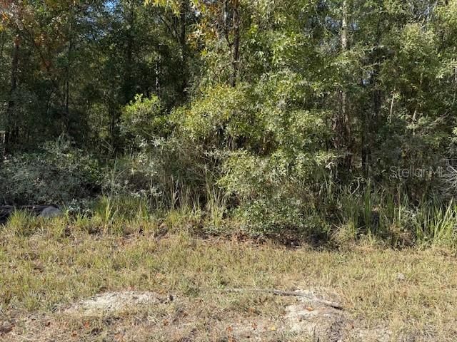 На продажу: $30,000 (0.94 acres)