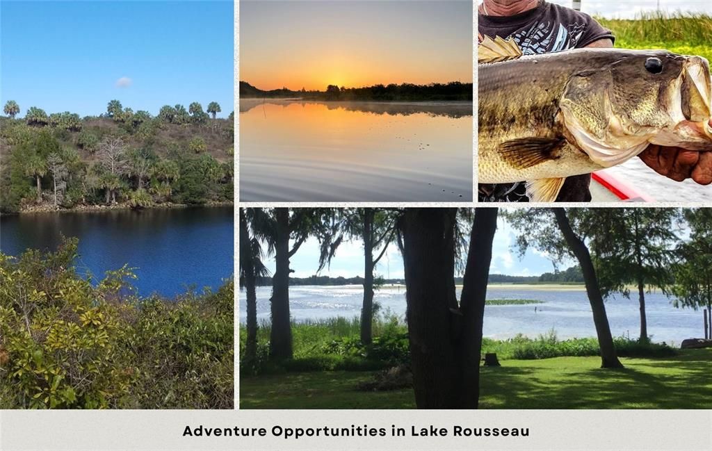 На продажу: $29,950 (1.16 acres)