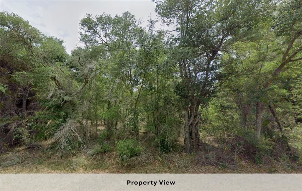 待售: $29,950 (1.16 acres)