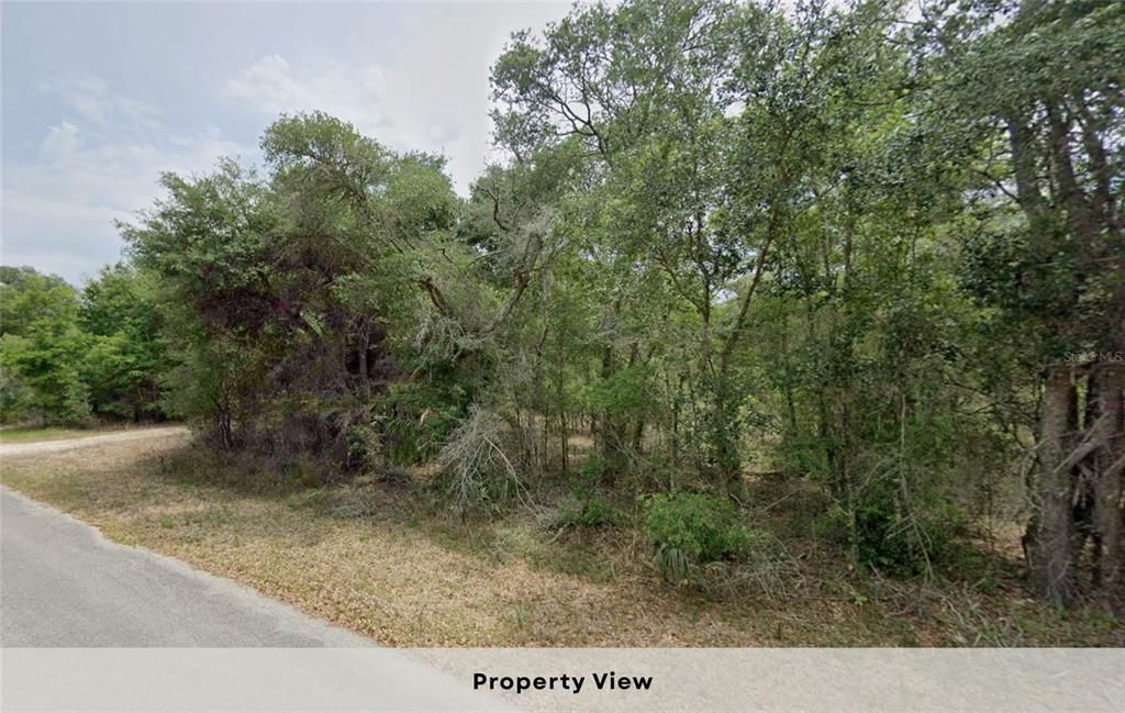 待售: $29,950 (1.16 acres)