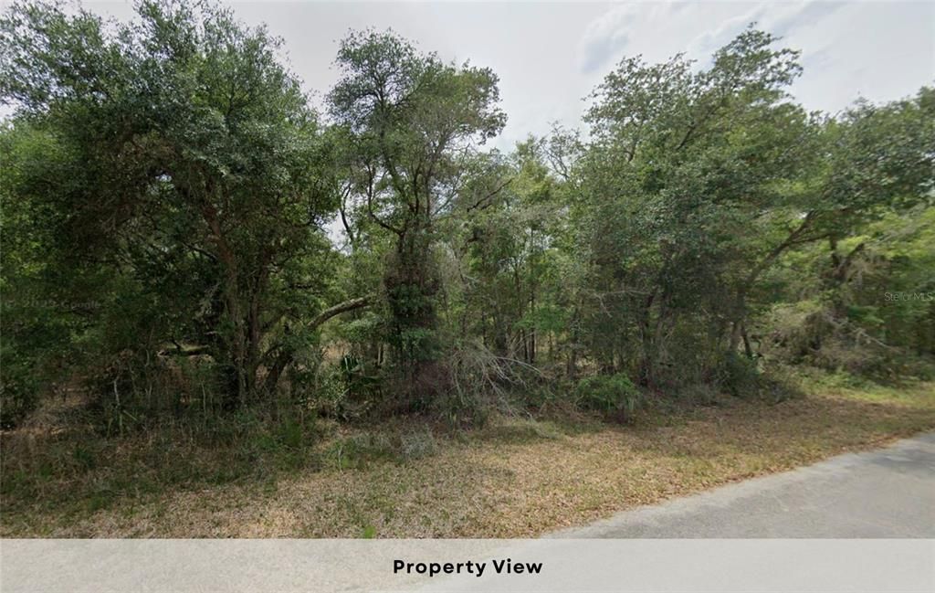 待售: $29,950 (1.16 acres)