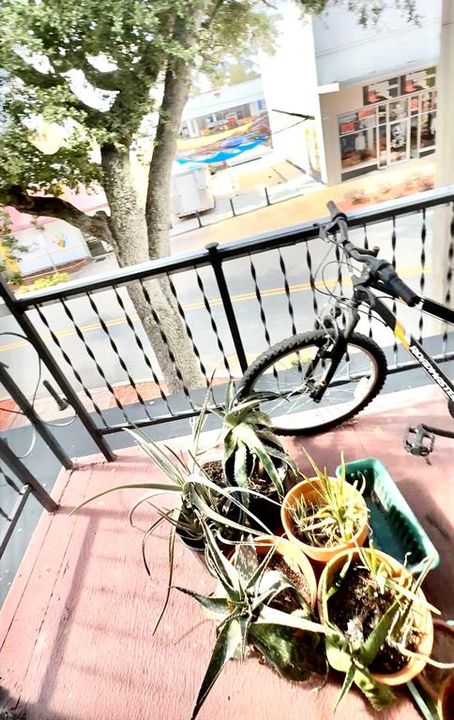 For Rent: $1,125 (1 beds, 1 baths, 14128 Square Feet)