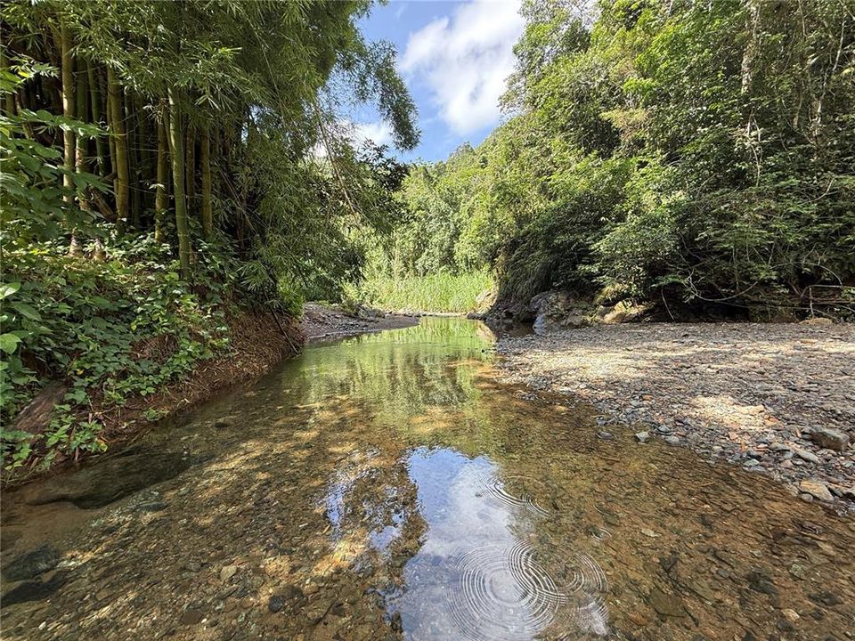 待售: $225,000 (2 贝兹, 2 浴室, 1047 平方英尺)