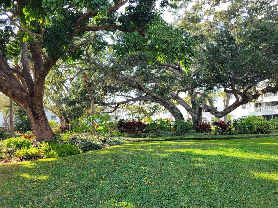 На продажу: $125,000 (2 спален, 1 ванн, 733 Квадратных фут)