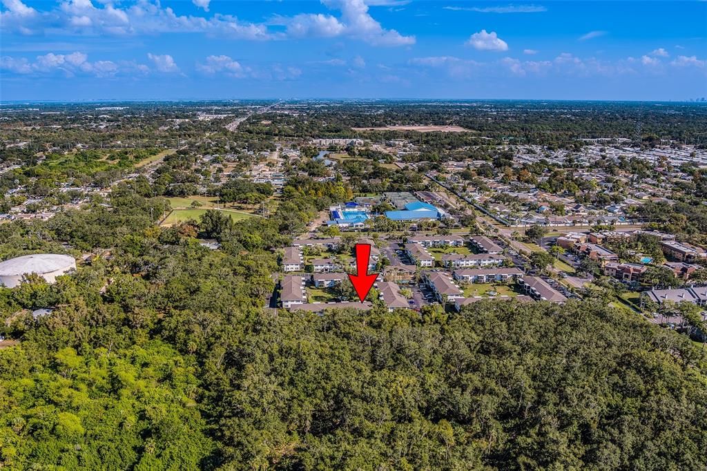 For Sale: $299,953 (2 beds, 2 baths, 881 Square Feet)